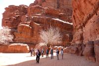 im Wadi Rum