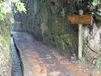 Mini - Levada-Wanderung im Regen - eigentliches Ziel