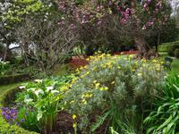 Blandys Garten in Funchal