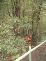 Foto-Stopp am Petrohue River