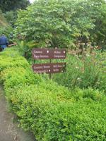 Frutillar und German Settlers Museum