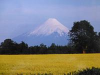 Foto-Stopp am Petrohue River