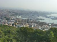 Blick auf Palma