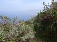 Kanaren, El Hierro, Abstieg ins Golftal