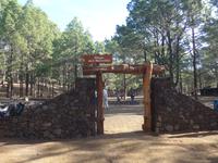 Kanaren, El Hierro, Grillplatz Hoya de Morcillo