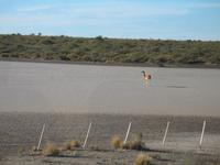 Ausflug zur Halbinsel Valdés