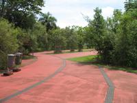 Argentinische Wasserfälle in Iguaçu