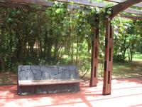 Argentinische Wasserfälle in Iguaçu