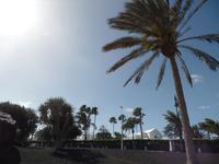 Rundreise Lanzarote, Fuerteventura – Puerto del Carmen