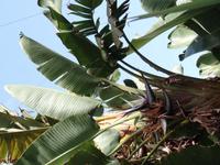 Rundreise Lanzarote, Fuerteventura – Naturpark Oasis Park