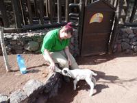 Rundreise Lanzarote, Fuerteventura – Naturpark Oasis Park