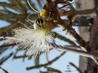 Rundreise Lanzarote, Fuerteventura – Naturpark Oasis Park