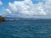 Martinique - Ausflug zu den Schildkröten