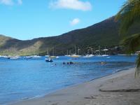 Martinique - Ausflug zu den Schildkröten