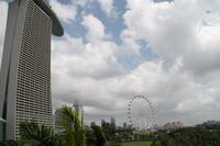 Singapur - Stadtrundgang - Marina Bay Gardens