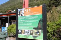 Fahrt in Richtung Westküste - Arthurs Pass