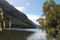 Fahrt nach Milford Sound