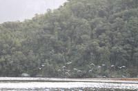  Milford Sound - an Bord der 
