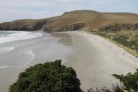 Otago Halbinsel - Pinguin Reservat