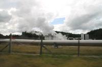 Besichtigung der Geysire von Rotorua