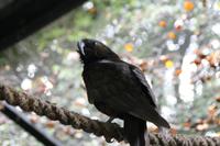 Parkanlage Rainbow Springs 