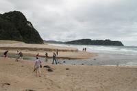 Coromandel Halbinsel - 