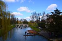 Cambridge, River Cam