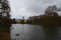 London, St. James Park und Buckingham Palace