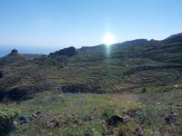 614_La Gomera; Feldterassen