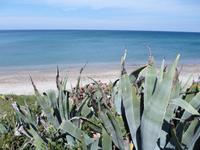 Nordwestküste Sardiniens (zwischen Porto Tórres und Castelsardo)