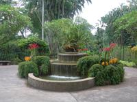 Botanischer Garten - Orchideengarten