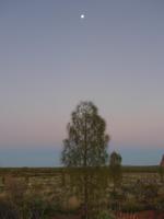 Sonnenaufgang am Ayes Rock