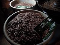 auf der Kaffeeplantage