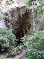 Eingang zur Guacharo-Höhle