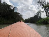 Orinoco-Delta