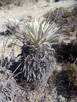 unterwegs in den Anden