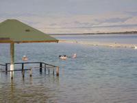 Baden im Toten Meer