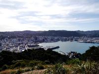Blick auf Wellington, Mount Victoria