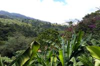 Volcan Poas Nationalpark
