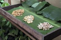 Kaffee-, Kakao- und Zuckerrohrtour