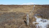 am Gullfoss