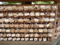 Tokio - Meji-Schrein - Wunschtafeln für Glück und Gesundheit