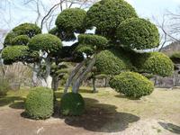 Heikowoen - buddhistischer Tempel