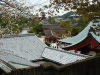 Insel Miyajima - Itsukushina-Schreins