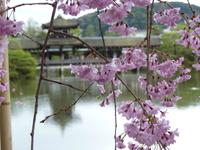 Kyoto - Heian-Jingu-Schrein