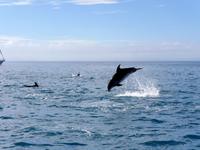 Abel Tasman Nationalpark