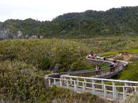 Pancake Rocks