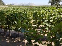 Rundreise Südamerika – die Vielfalt Lateinamerikas entdecken : Peru, Bolivien, Chile, Argentinien, Uruguay, Brasilien