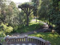 Rundreise Südamerika – die Vielfalt Lateinamerikas entdecken : Peru, Bolivien, Chile, Argentinien, Uruguay, Brasilien