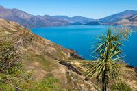 Lake Wanaka